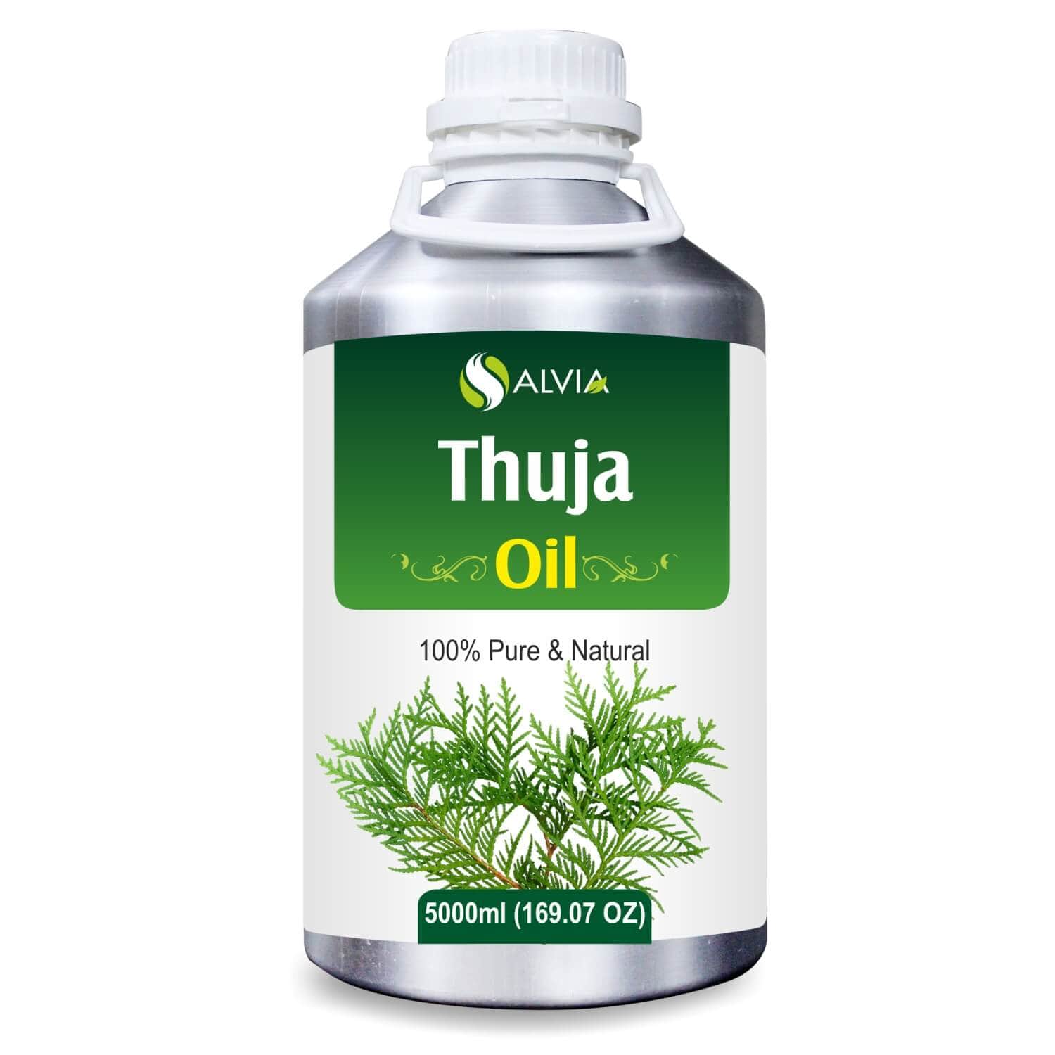 Salvia Natural Essential Oils 5000ml Thuja Oil (Thuja Orientali) 100% Pure Essential Oil Salvia Natural Essential Oils 5000ml Thuja Oil (Thuja Orientali) 100% Pure Essential Oil